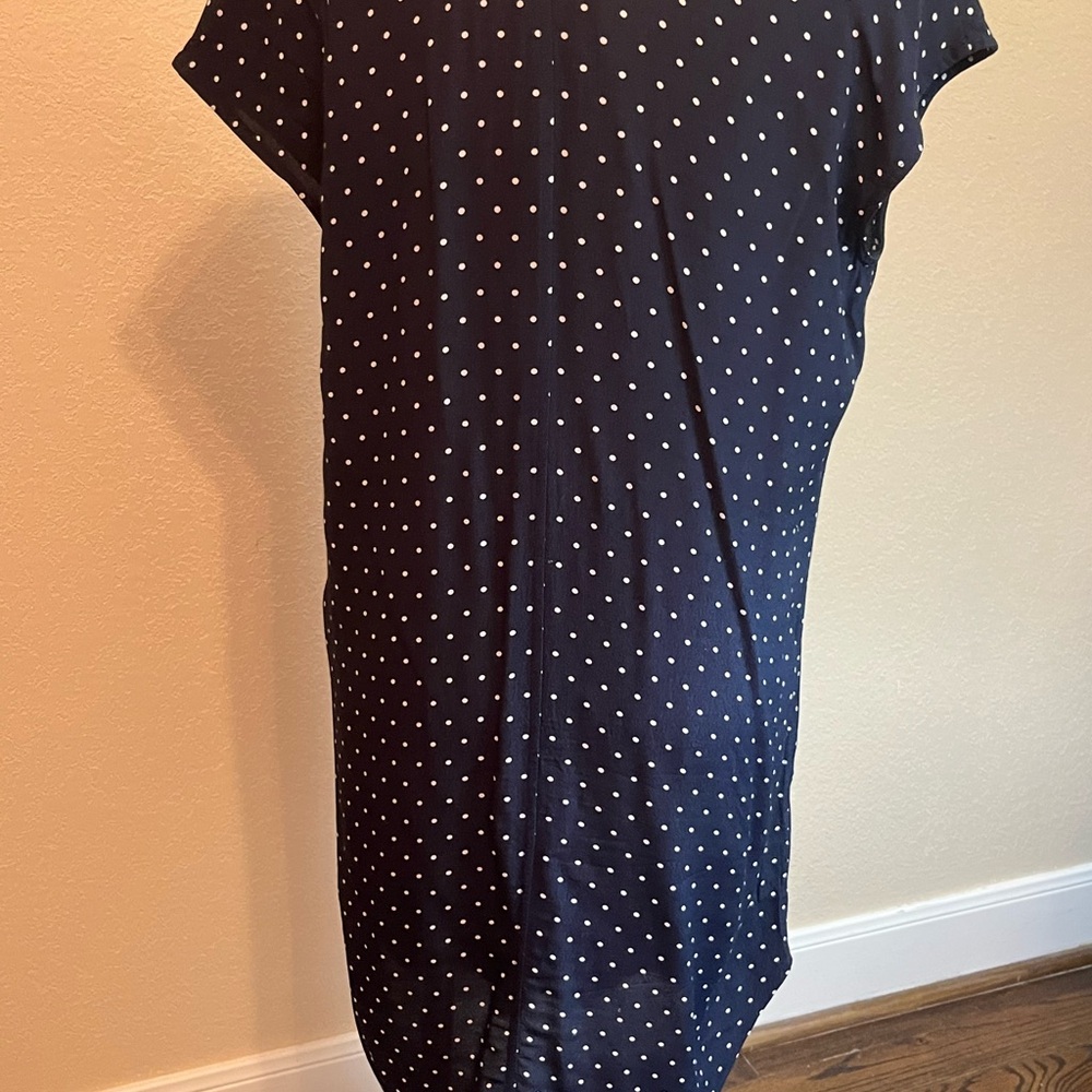 Madewell Navy Polka Dot Dress